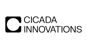 cicada